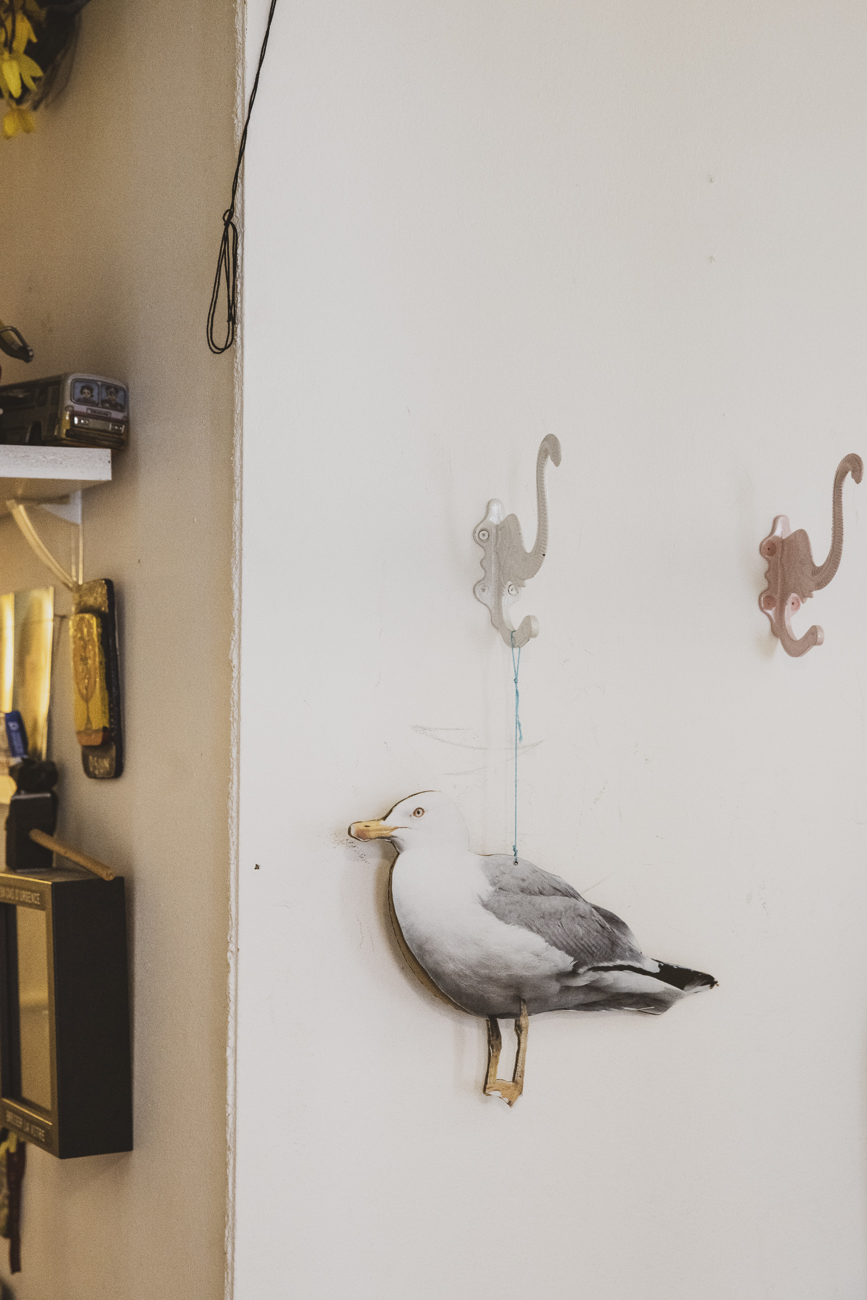 Silvia Weber 5, Artiste © Julie Masson
